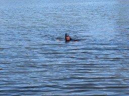 Osterschwimmen Aschaffenburg